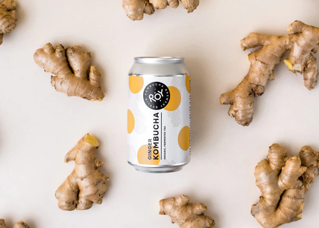 ROY Zázvorová kombucha
