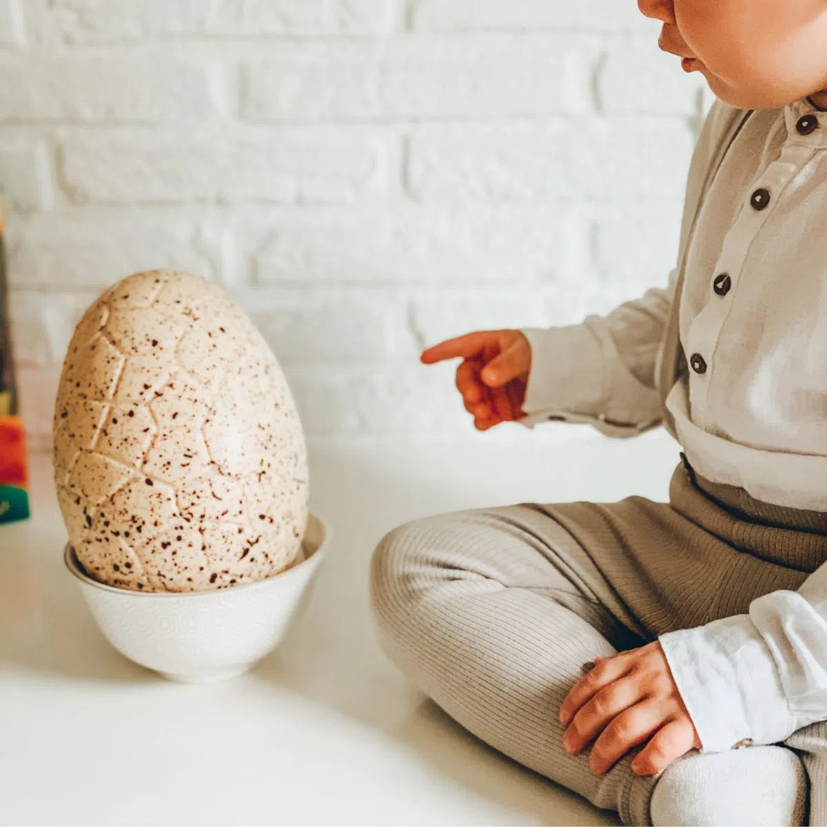 Dinosaurie Vajíčko